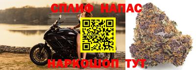прущая мука Пенза